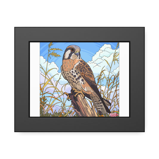 Kestrel Art Print — Framed Paper Poster, Vintage Wildlife Wall Decor