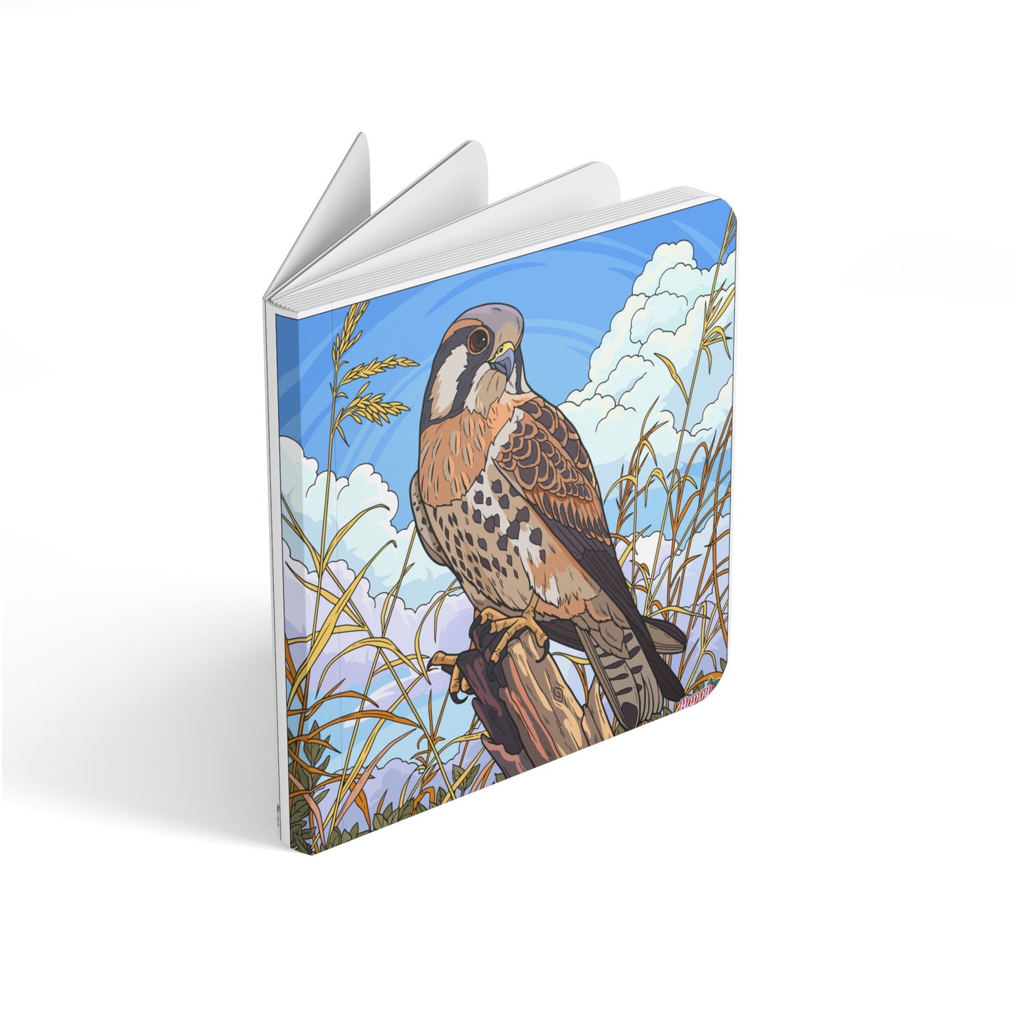 Wildlife Board Book — Illustrated Birds & Big Cats Baby Picture Book