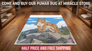 Area Rugs Printify