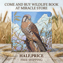 Wildlife Board Book — Illustrated Birds & Big Cats Baby Picture Book Printify