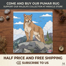 Area Rugs Printify