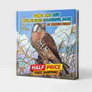 Wildlife Board Book — Illustrated Birds & Big Cats Baby Picture Book Printify