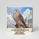 Wildlife Board Book — Illustrated Birds & Big Cats Baby Picture Book Printify